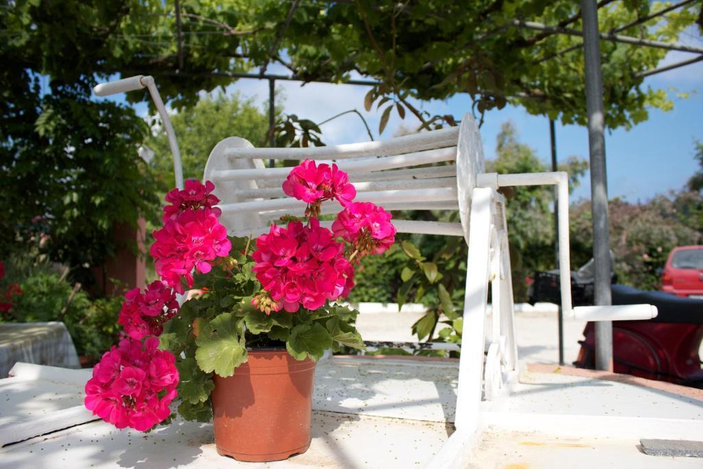 Chrysanthy Apartments Sidárion المظهر الخارجي الصورة